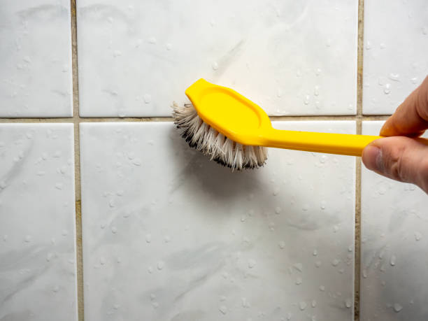 Best Mold Removal Company Near Me  in Wabasso, FL