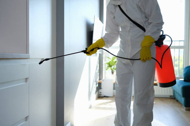Best Toxic Mold Removal  in Wabasso, FL